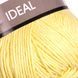 Ideal &ndash; 224