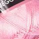Begonia &ndash; 6313