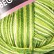 Begonia Melange &ndash; 0188