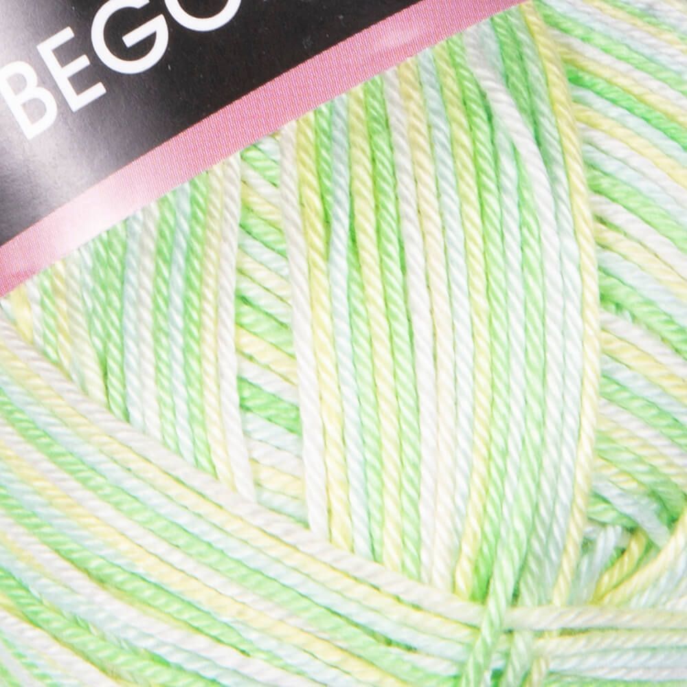 Begonia Melange &ndash; 501